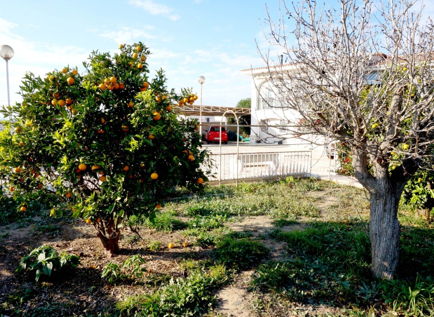 Venta - Chalet independiente - San Fulgencio - Urb. Oasis