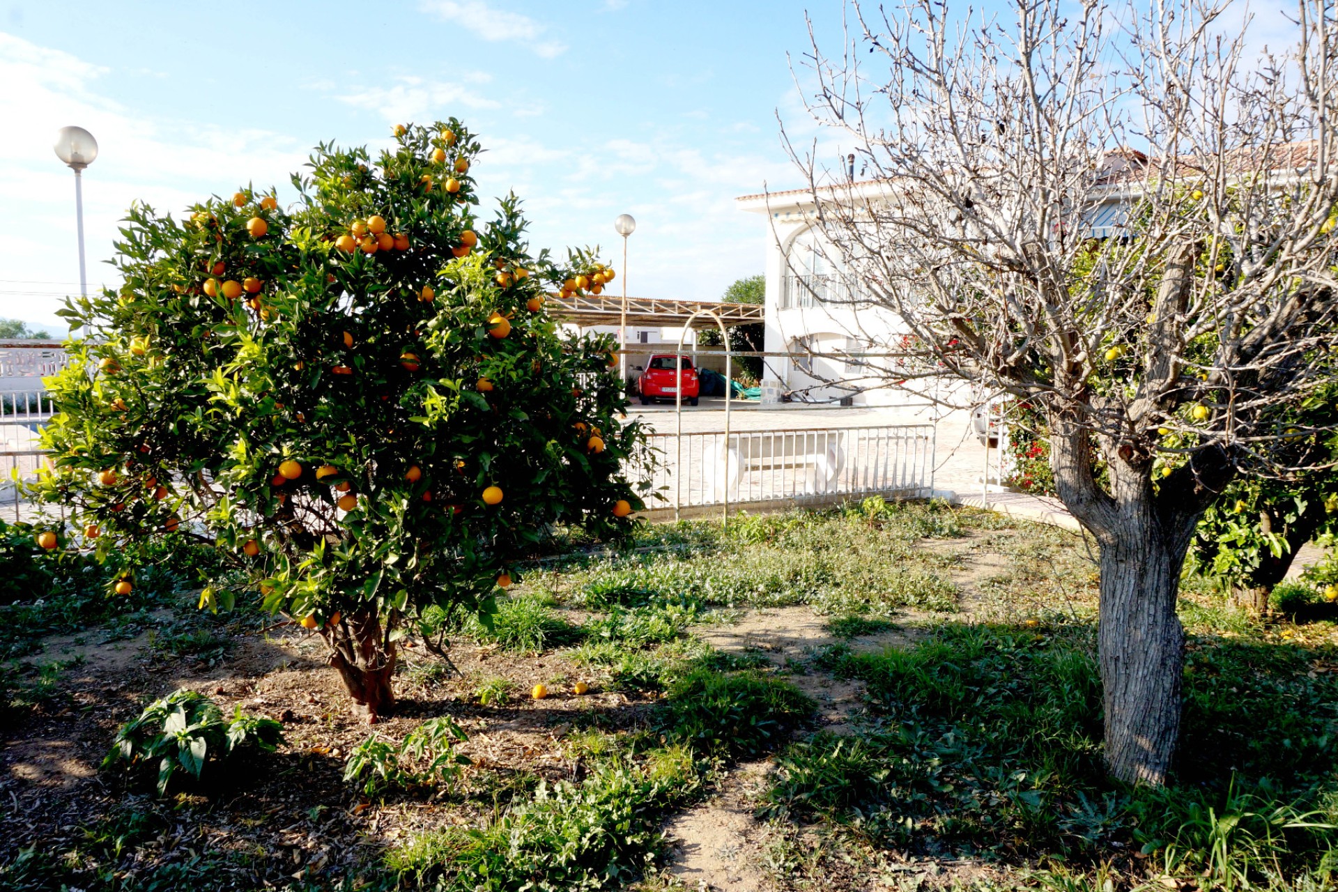 Venta - Chalet independiente - San Fulgencio - Urb. Oasis