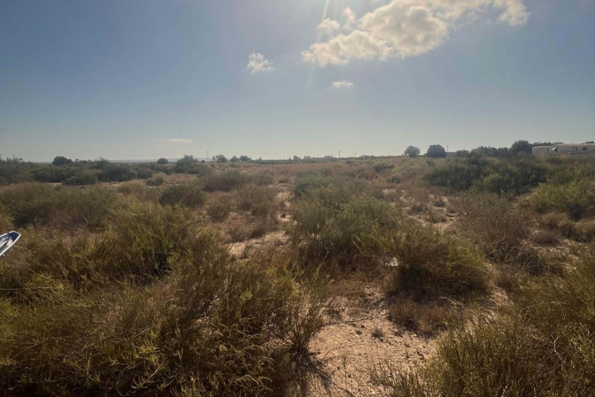 Venta - Parcela - Elche - El Pinet 