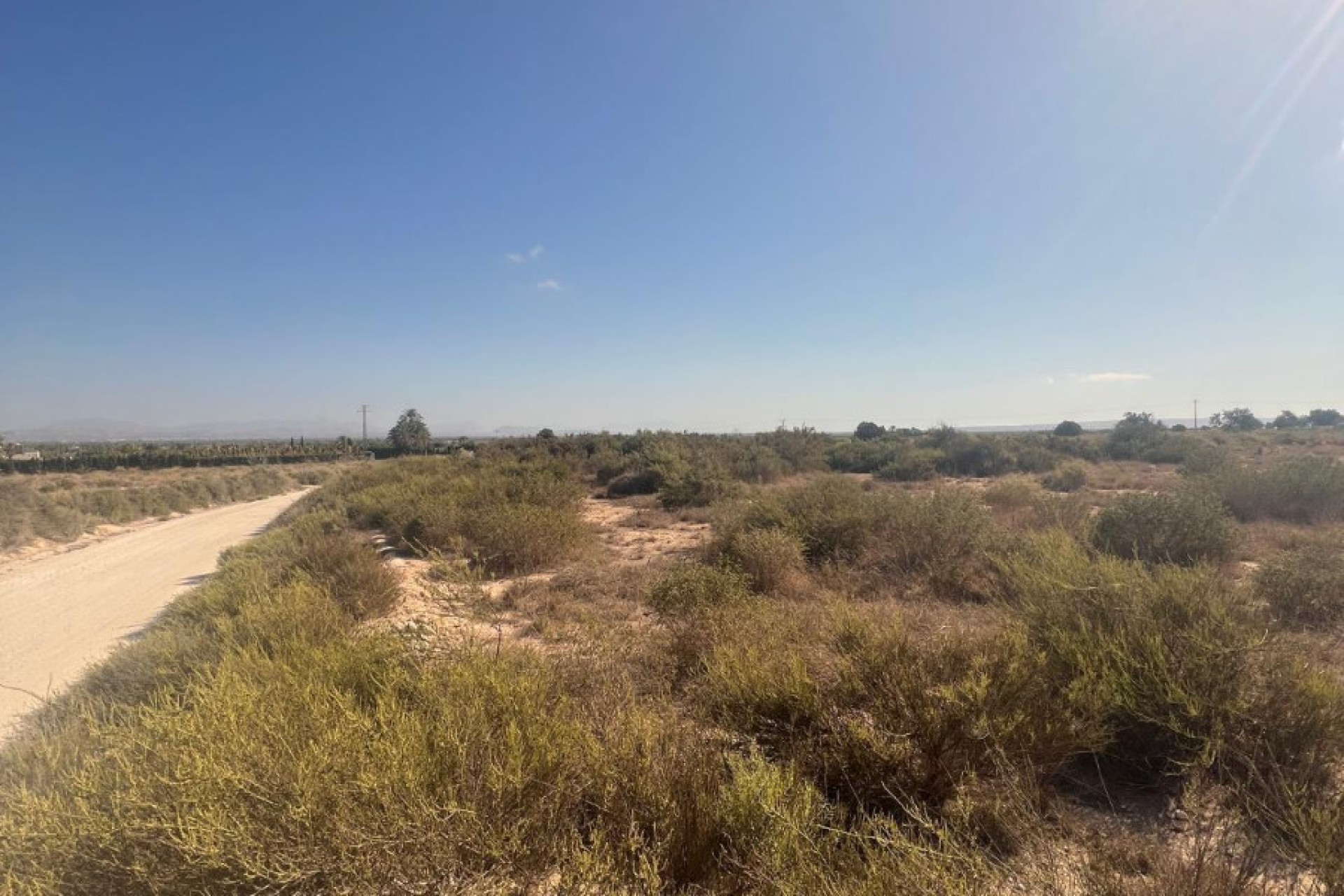 Venta - Parcela - Elche - El Pinet 