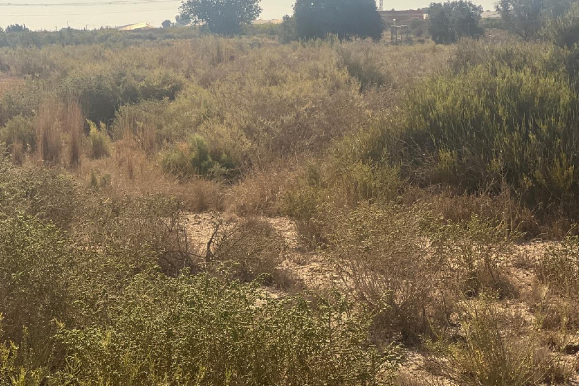 Venta - Parcela - Elche - El Pinet 