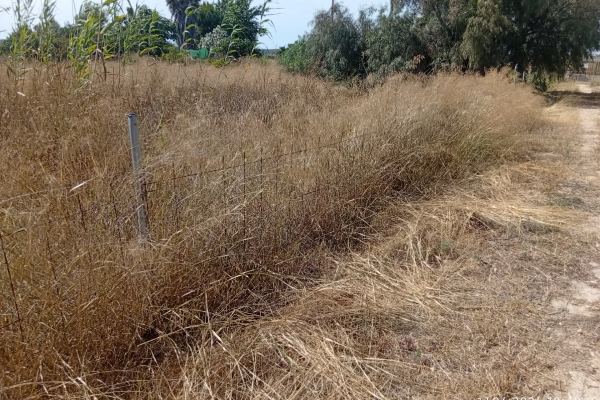 Venta - Parcela - Guardamar del Segura - Guardamar 