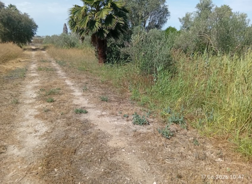 Venta - Parcela - Guardamar del Segura - Guardamar 
