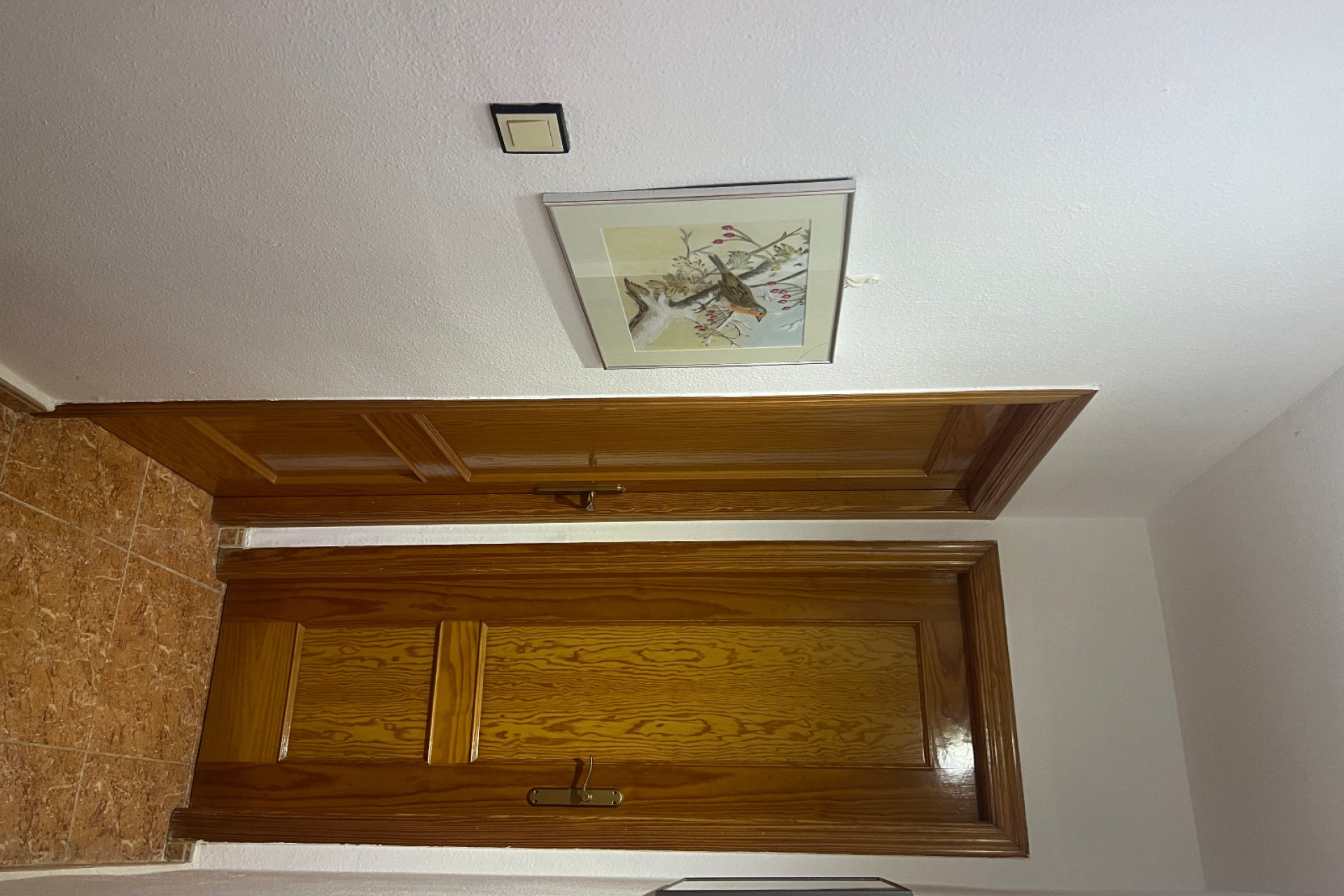 Venta - Quad - San Fulgencio - Urb. La Marina