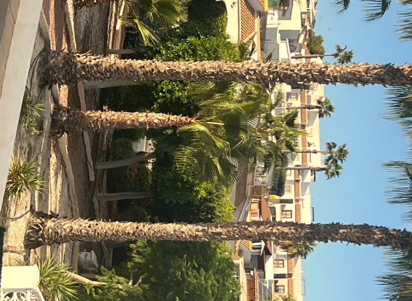 Venta - Quad - San Fulgencio - Urb. La Marina