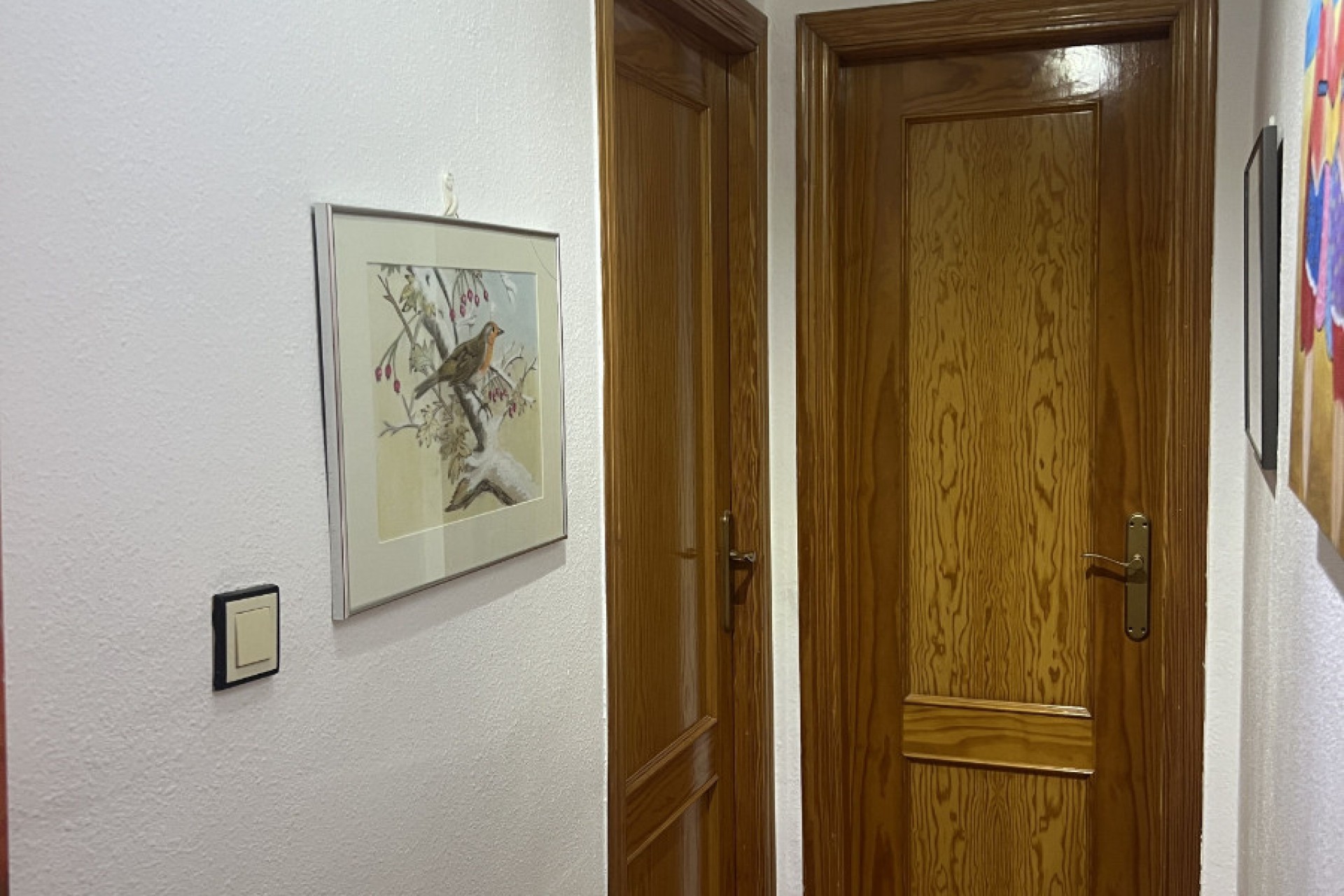 Venta - Quad - San Fulgencio - Urb. La Marina