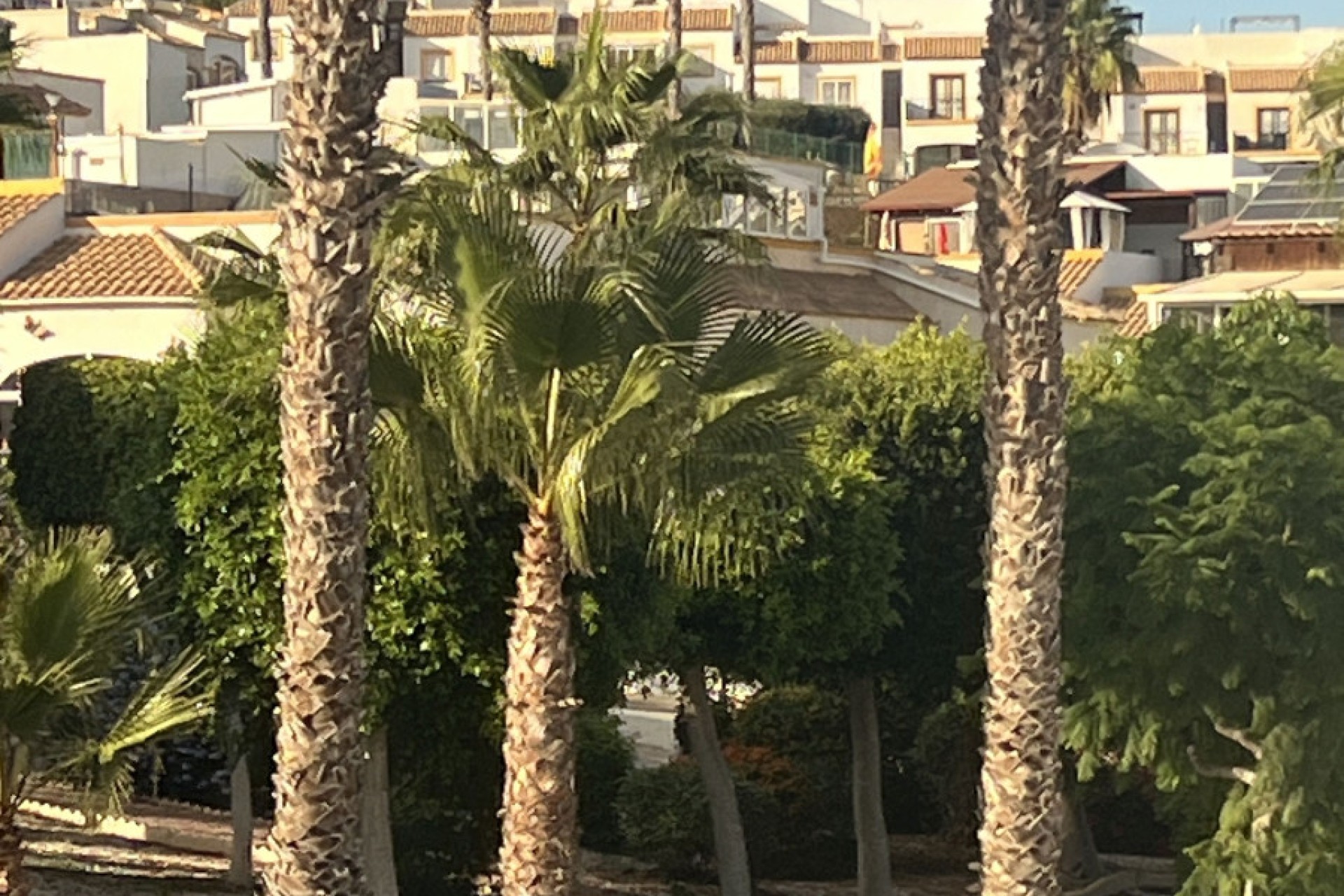 Venta - Quad - San Fulgencio - Urb. La Marina