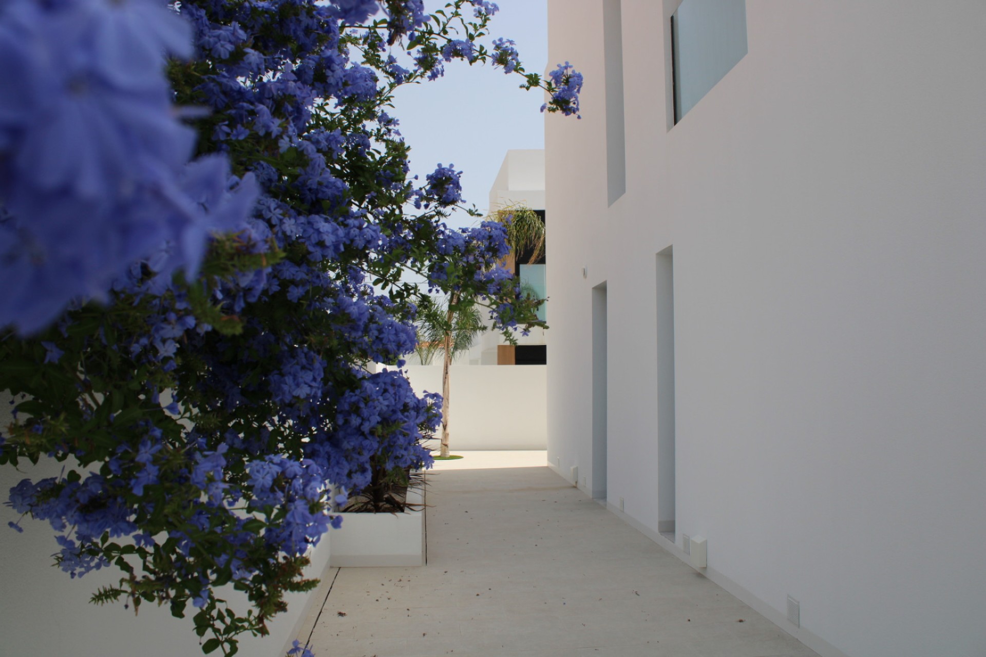 Venta - Villa - Orihuela - Orihuela Costa