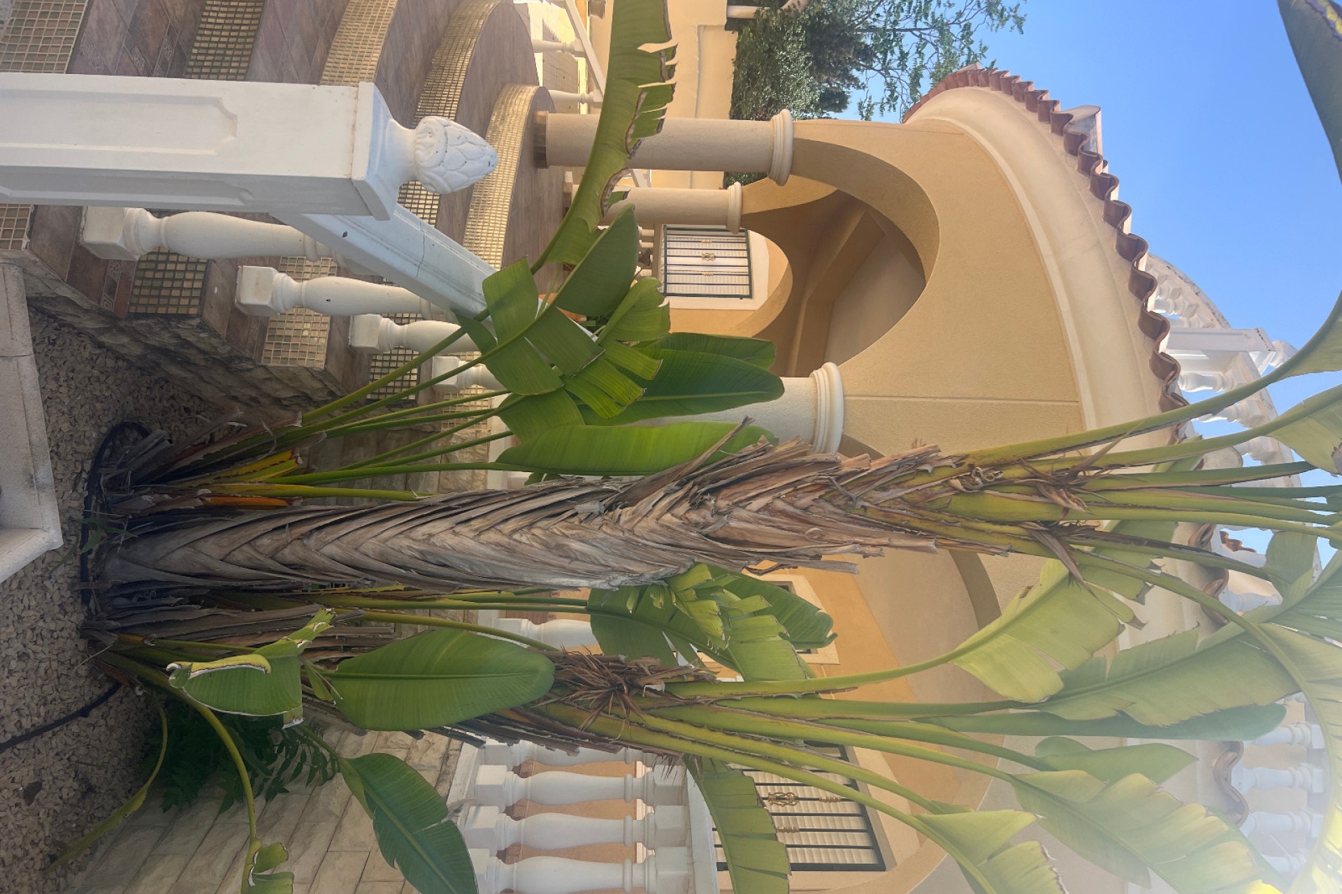 Venta - Villa - San Fulgencio - Urb. La Marina