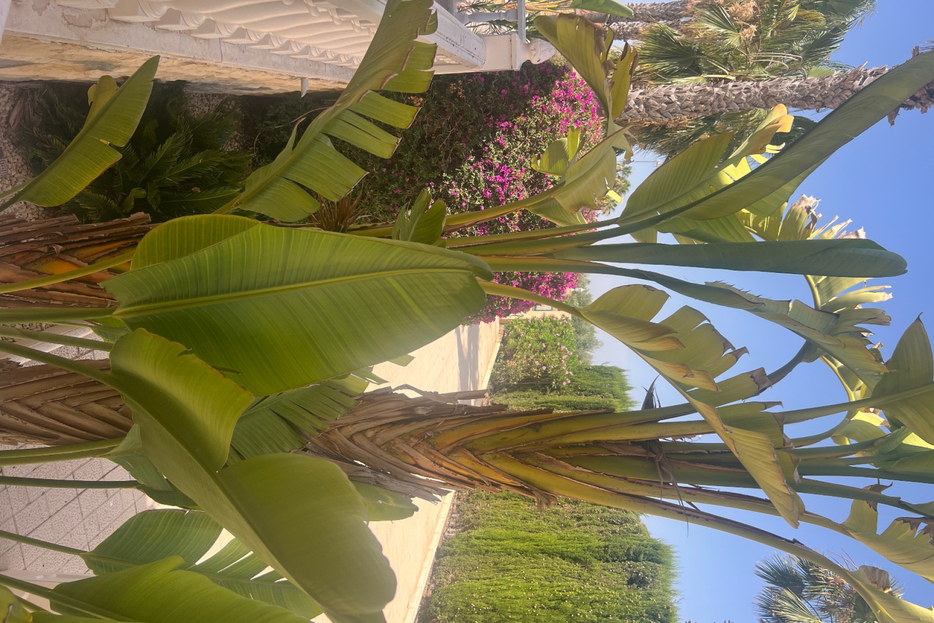 Venta - Villa - San Fulgencio - Urb. La Marina