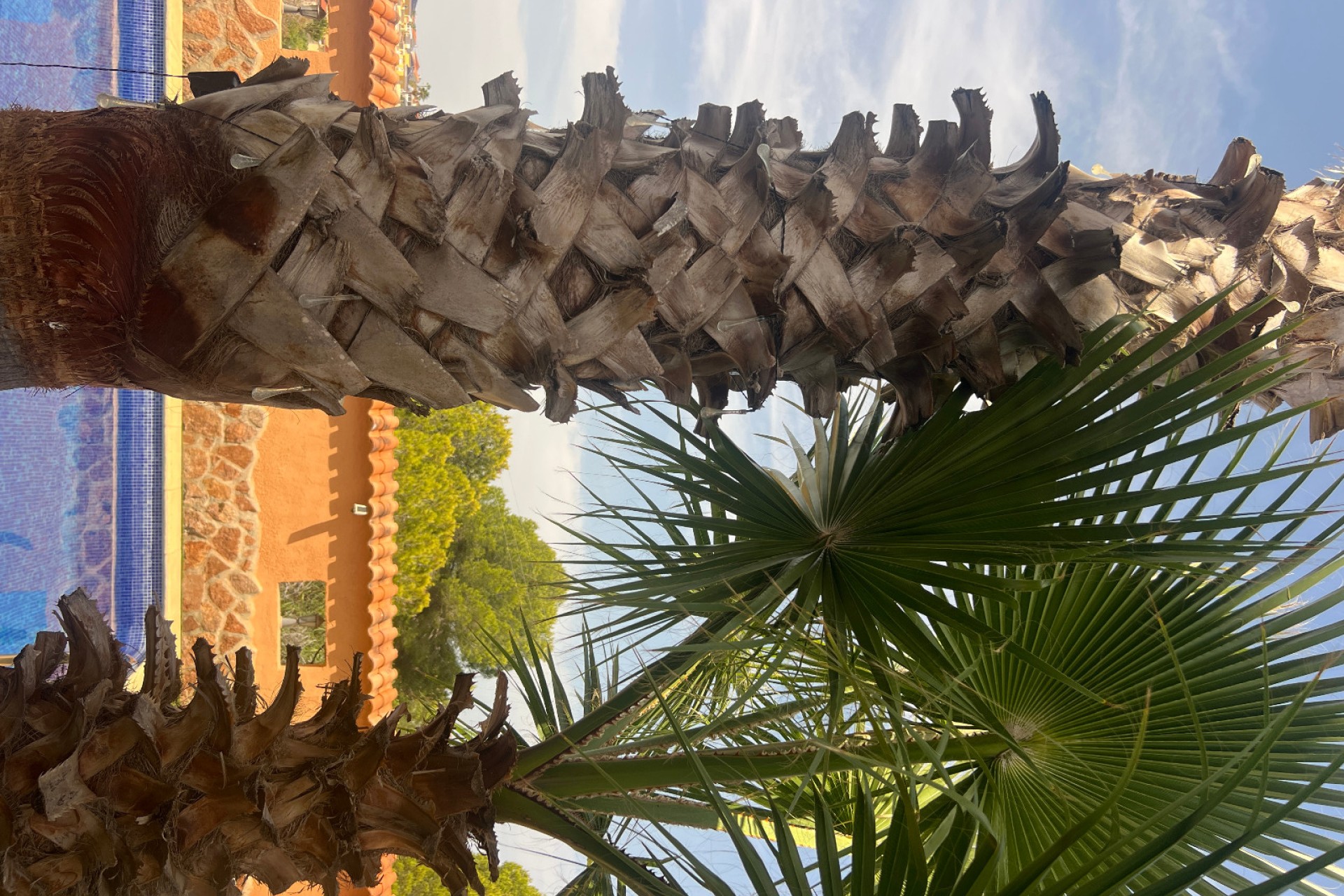 Venta - Villa - San Fulgencio - Urb. La Marina