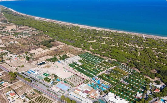 Specialists in La Marina and San Fulgencio