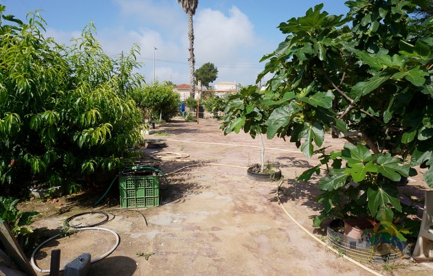 Sale - Finca - San Fulgencio - Urb. Oasis