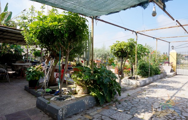 Sale - Finca - San Fulgencio - Urb. Oasis