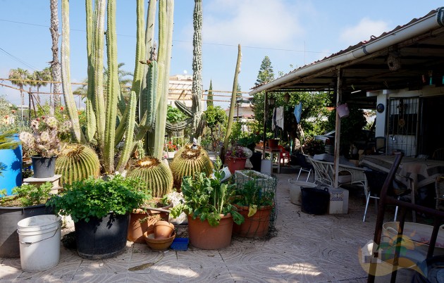 Sale - Finca - San Fulgencio - Urb. Oasis