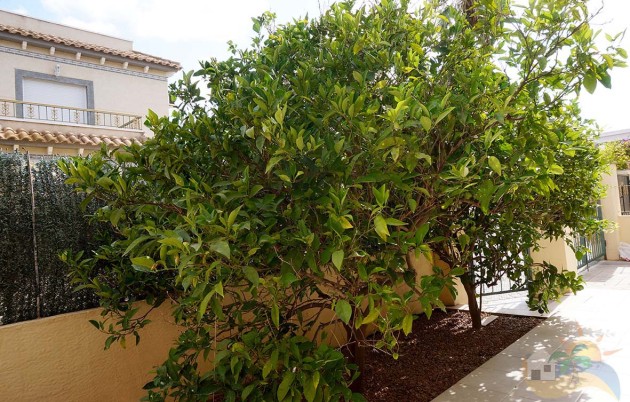 Sale - Quad - San Fulgencio - Urb. Oasis