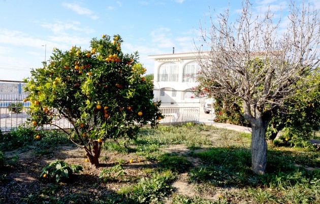 Sale - Detached house - San Fulgencio - Urb. Oasis