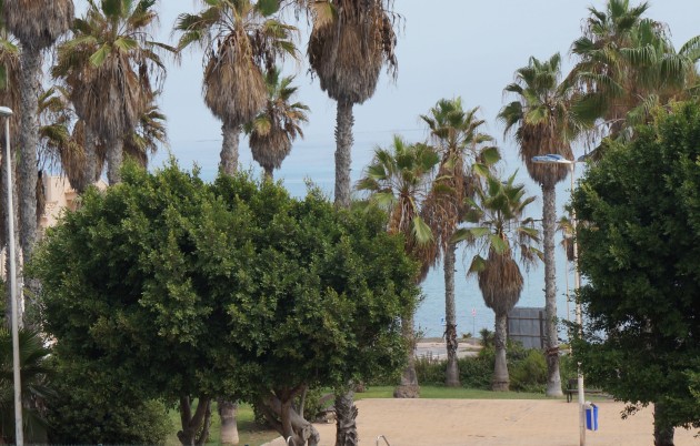 Sale - Apartment - La Mata