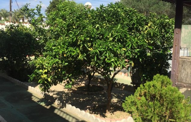 Sale - Villa - San Fulgencio - Urb. La Marina