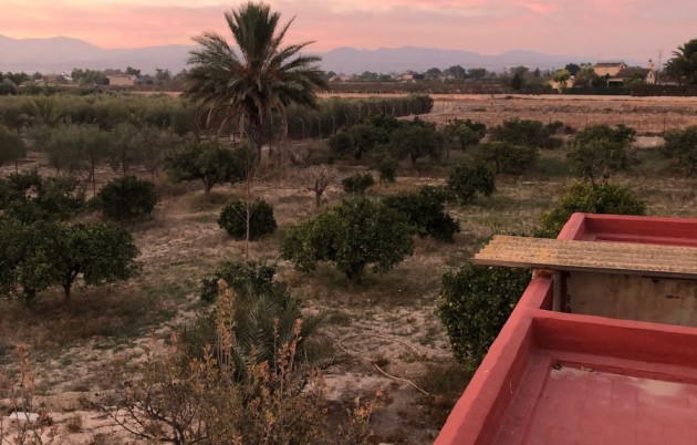 Sale - Finca - Elche - La Marina