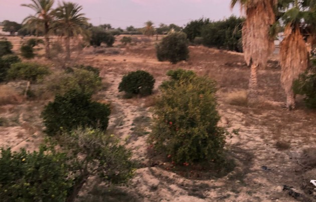 Sale - Finca - Elche - La Marina