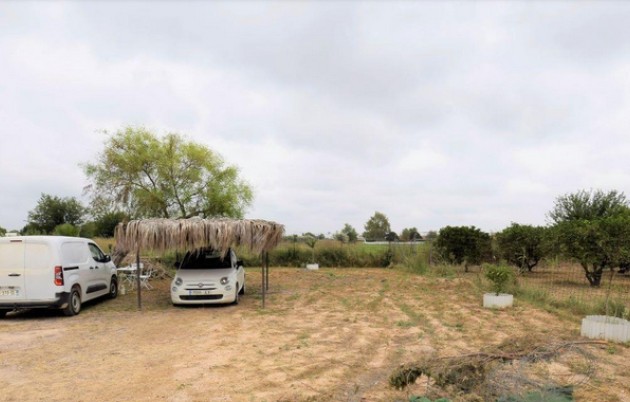 Venta - Casa de campo - San Fulgencio