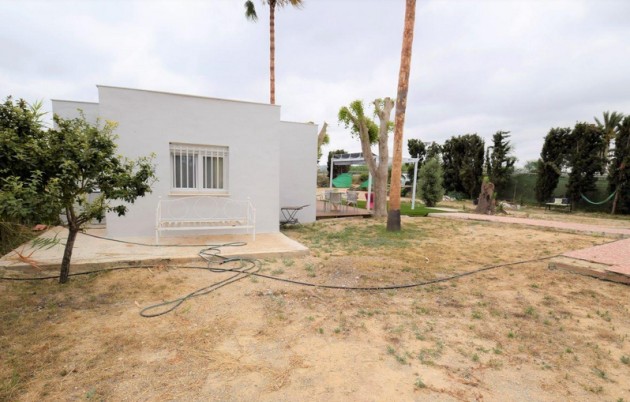 Venta - Casa de campo - San Fulgencio