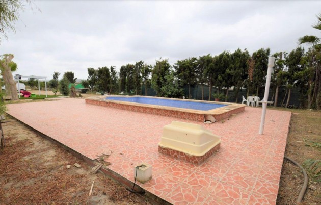 Venta - Casa de campo - San Fulgencio