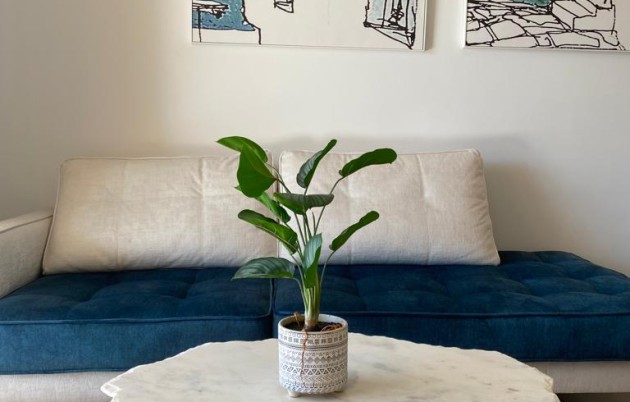 New Build - Apartment - Orihuela - Orihuela Costa