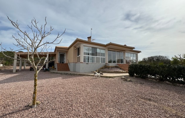 Sale - Finca - Elche - La Marina