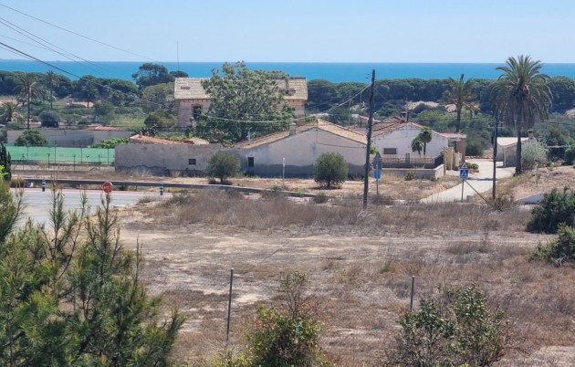 Sale - Finca - Elche - La Marina