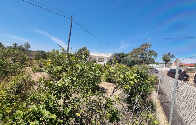 Sale - Finca - Elche - La Marina