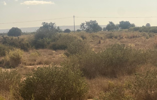 Sale - Plot - Elche - El Pinet