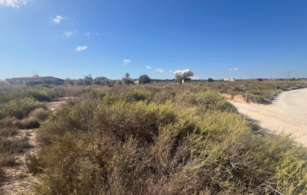 Sale - Plot - Elche - El Pinet