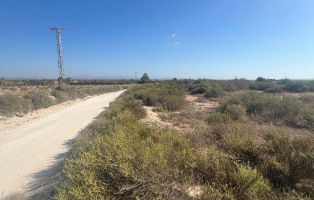Sale - Plot - Elche - El Pinet
