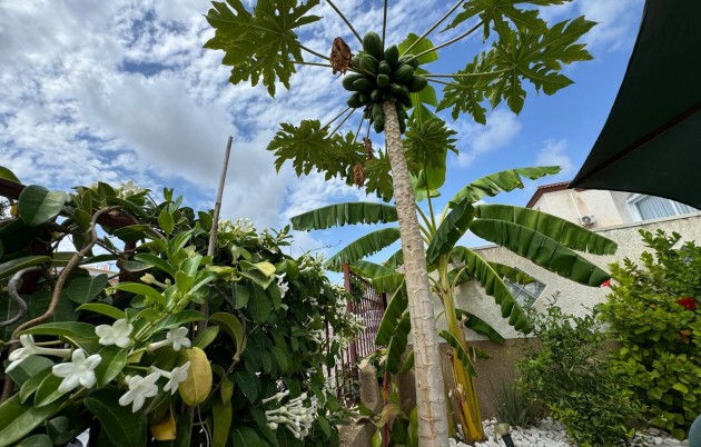 Sale - Quad - San Fulgencio - Urb. La Marina