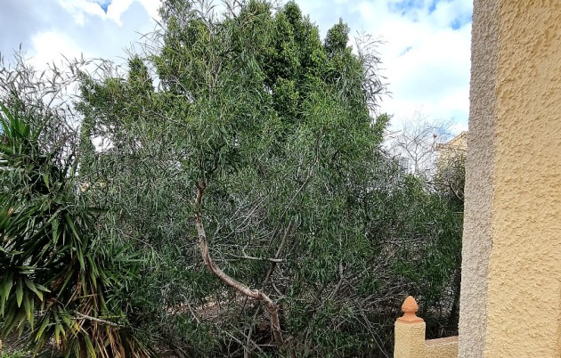 Sale - Detached house - San Fulgencio - Urb. La Marina