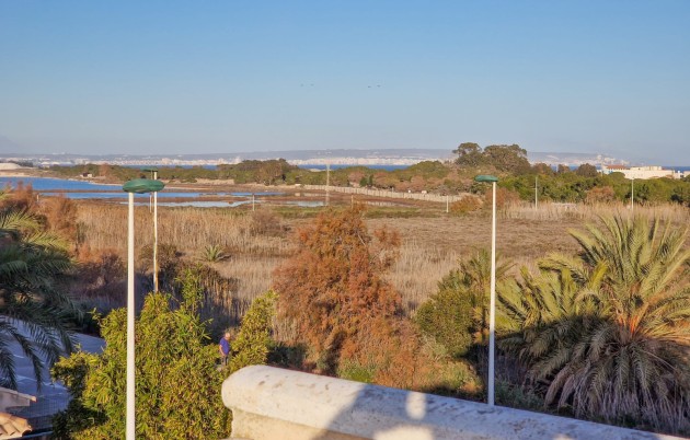 Sale - Quad - Elche - El Pinet