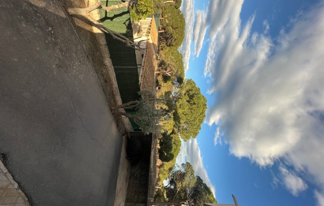 Sale - Apartment - Guardamar del Segura - Urbanization Buenavista