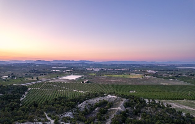 Nueva construcción  - Apartamento - San Miguel de Salinas