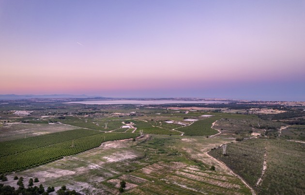 Nueva construcción  - Apartamento - San Miguel de Salinas