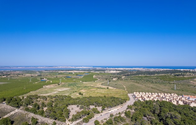 Nueva construcción  - Apartamento - San Miguel de Salinas