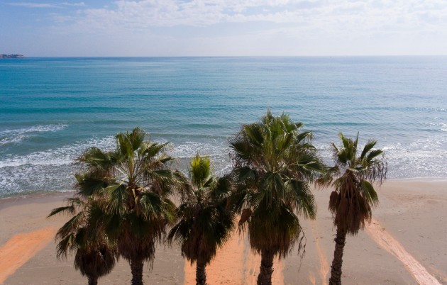 New Build - Apartment - Orihuela - Orihuela Costa