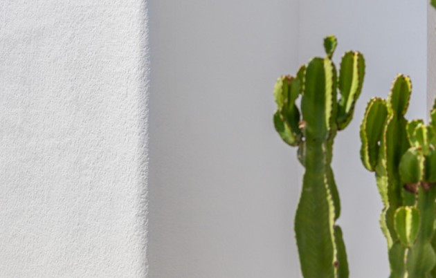 New Build - Detached house - Orihuela - Orihuela Costa