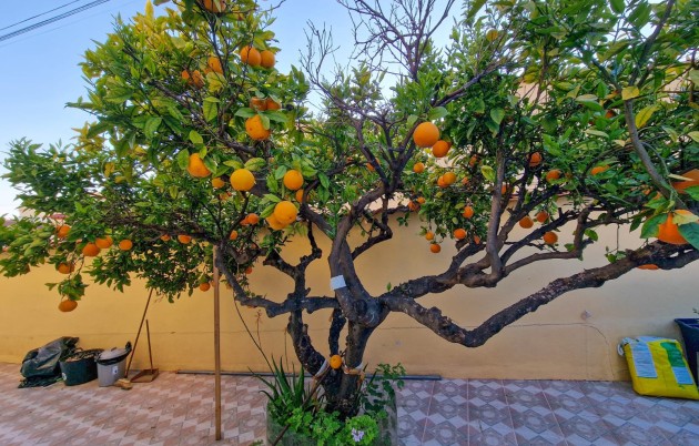 Sale - Detached house - San Fulgencio - Urb. La Marina