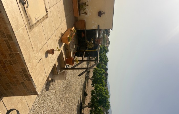 Sale - Finca - Elche - Partida Daimes, La Hoya