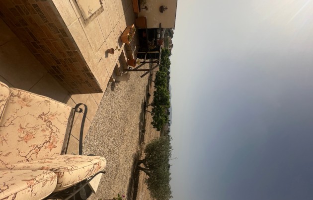 Sale - Finca - Elche - Partida Daimes, La Hoya