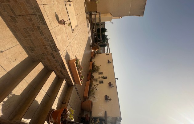 Sale - Finca - Elche - Partida Daimes, La Hoya