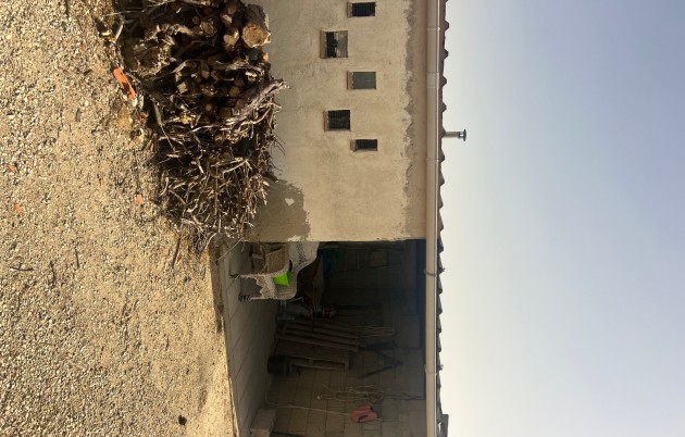 Sale - Finca - Elche - Partida Daimes, La Hoya