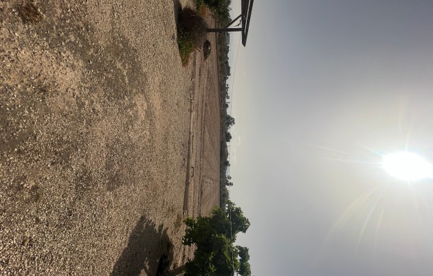 Sale - Finca - Elche - Partida Daimes, La Hoya